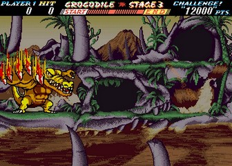 image de The First Funky Fighter